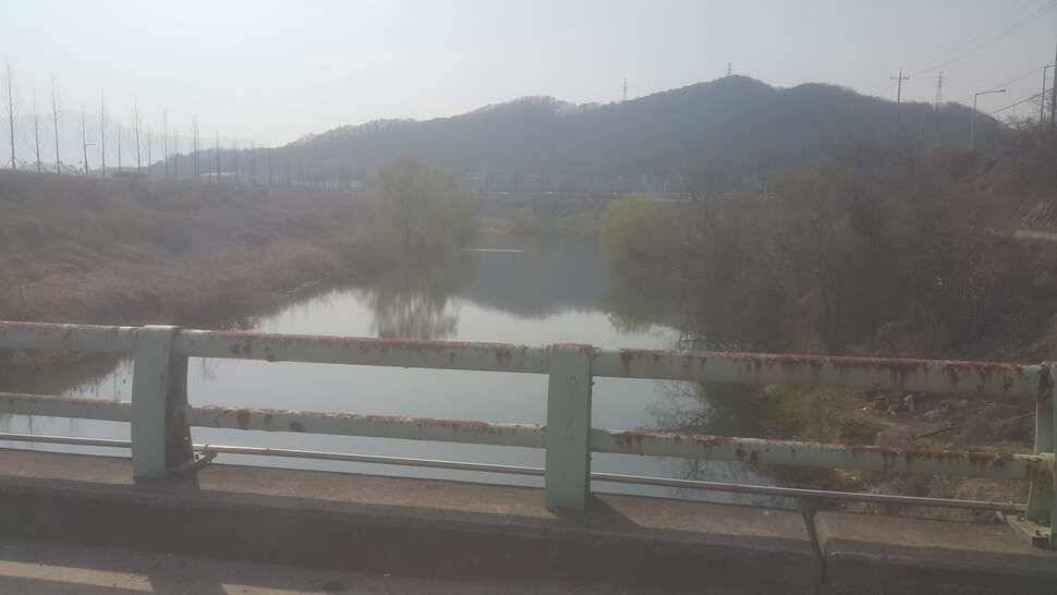 구미권 수로 호조황입니다 (조황조행기 - 낚시점조황)