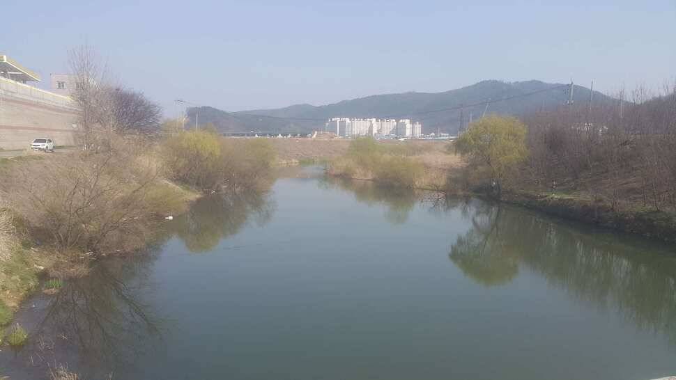 구미권 수로 호조황입니다 (조황조행기 - 낚시점조황)