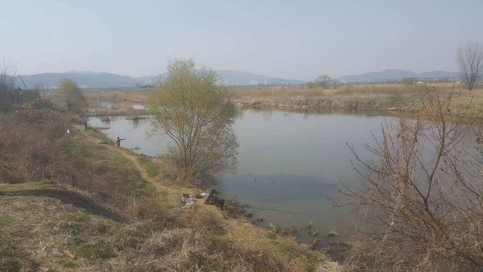 구미권 수로 조황 좋습니다 (조황조행기 - 낚시점조황)