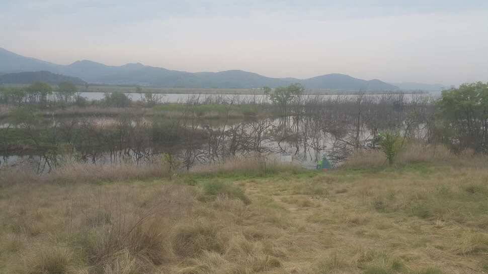 구미 수로권 조황소식 (조황조행기 - 낚시점조황)