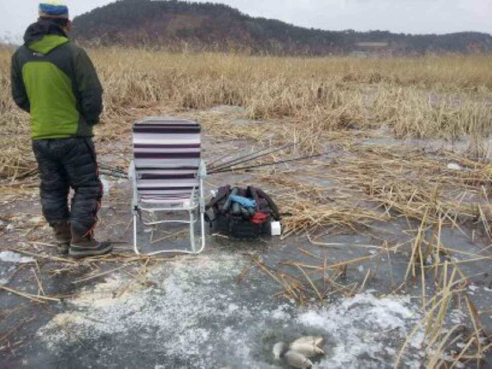 서태안권 얼음낚시 (조황조행기 - 낚시점조황)