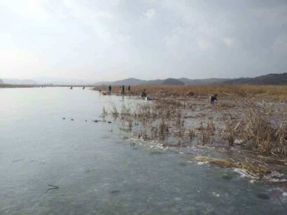 서태안권 얼음낚시 (조황조행기 - 낚시점조황)