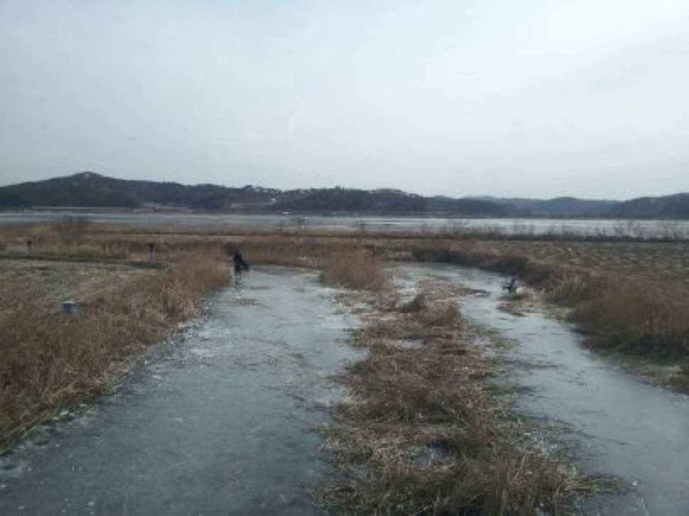 서태안권 얼음낚시와 잠홍지 첫물낚시에 월척 (조황조행기 - 낚시점조황)