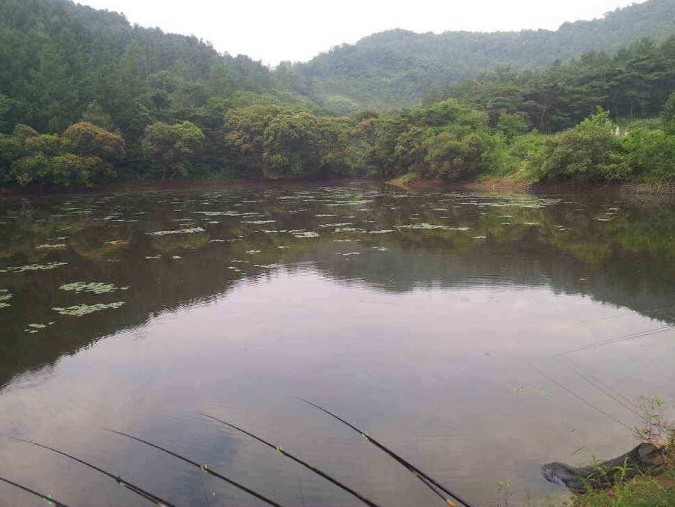 청도권 조황입니다 (조황조행기 - 낚시점조황)