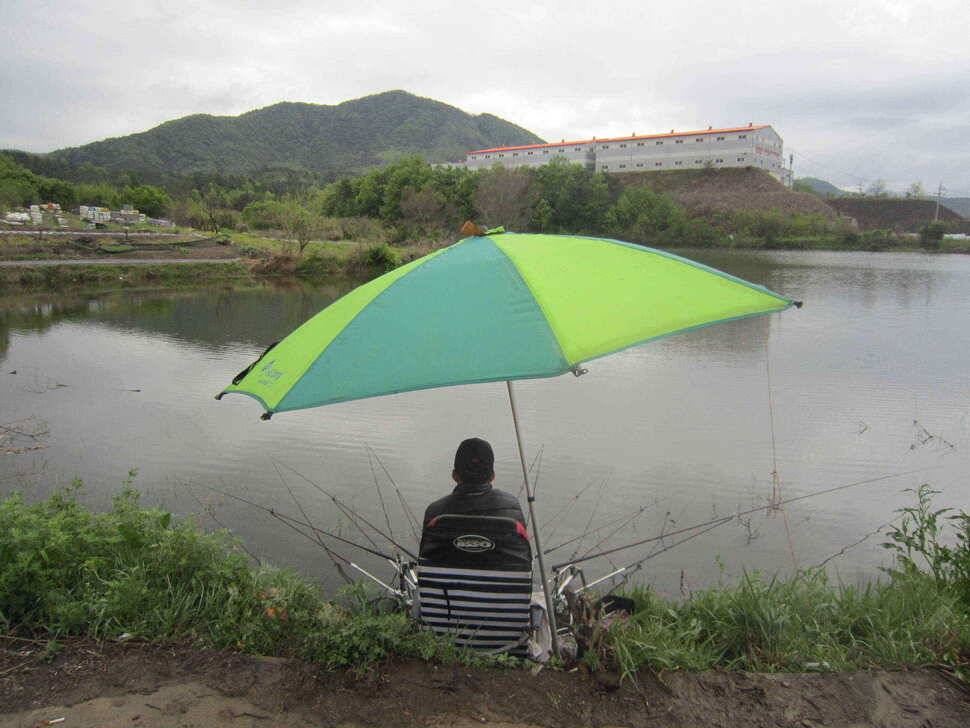 영천ic권 조황입니다 (조황조행기 - 낚시점조황)