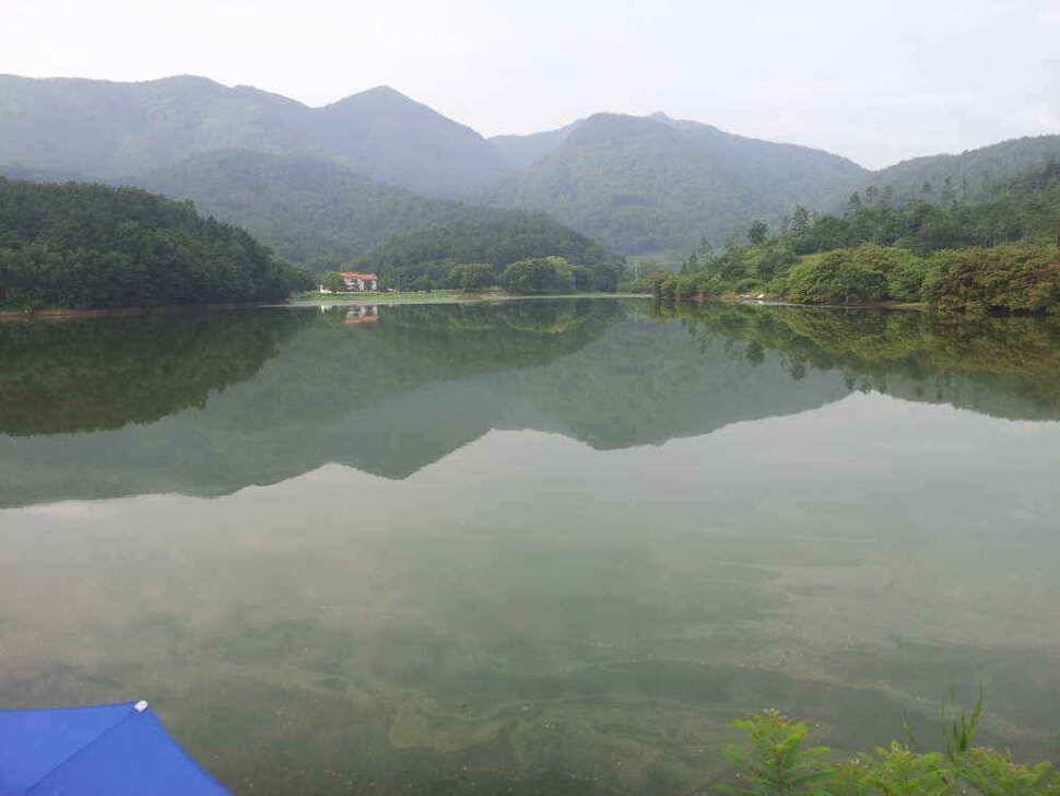 청도권 조황입니다 (조황조행기 - 낚시점조황)
