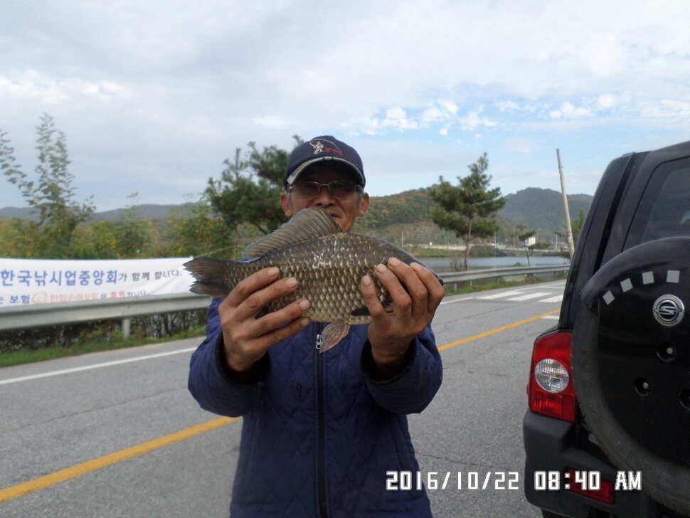 충주 탄금호 낚시조황 (조황조행기 - 낚시점조황)