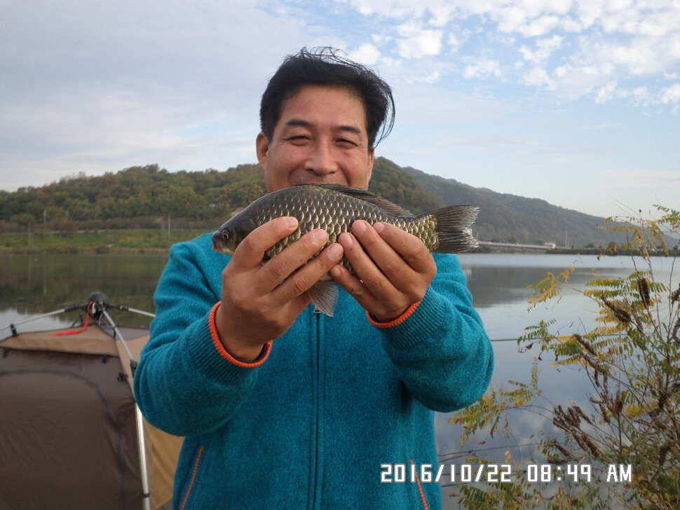 충주 탄금호 낚시조황 (조황조행기 - 낚시점조황)