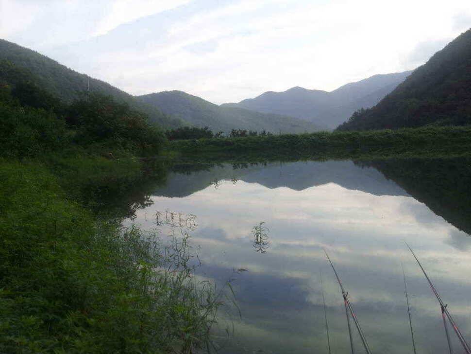 지금 청도권은 만수중새물 찬스 노려보세요 (조황조행기 - 낚시점조황)