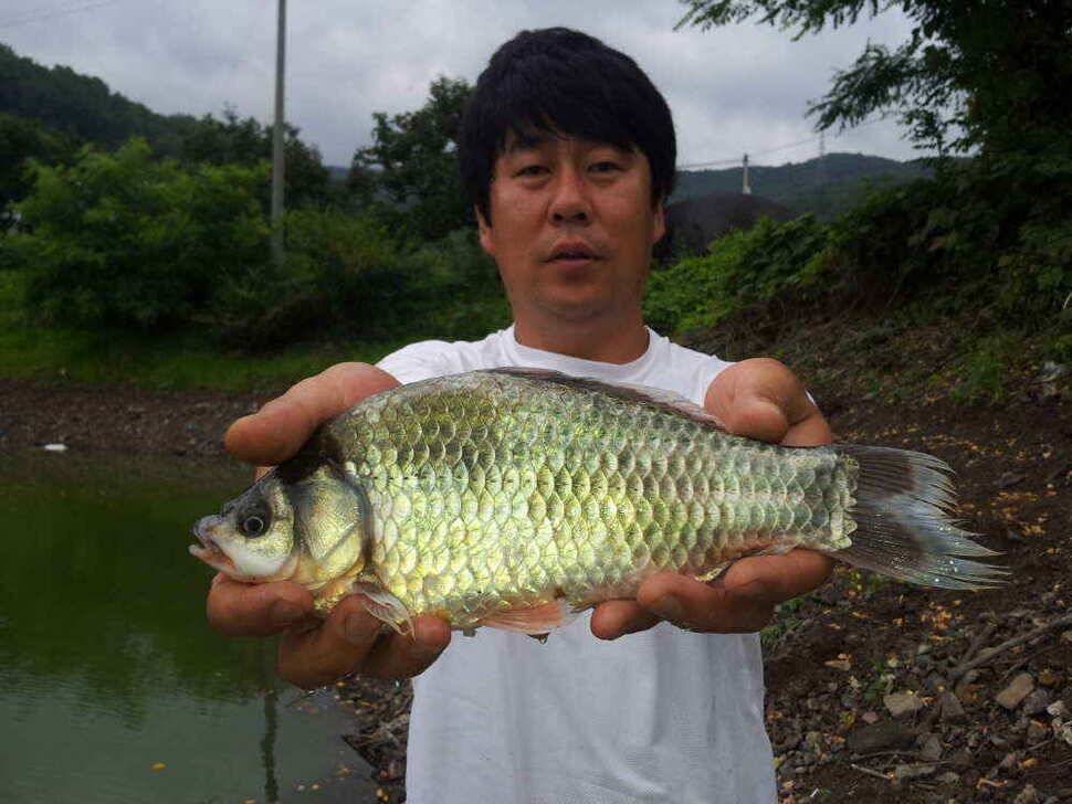 청도권 조황입니다저수지및 배수에대해 문의가 많아 올려봅니다 (조황조행기 - 낚시점조황)