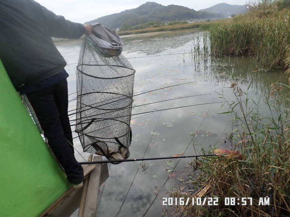 충주 탄금호 낚시조황 (조황조행기 - 낚시점조황)