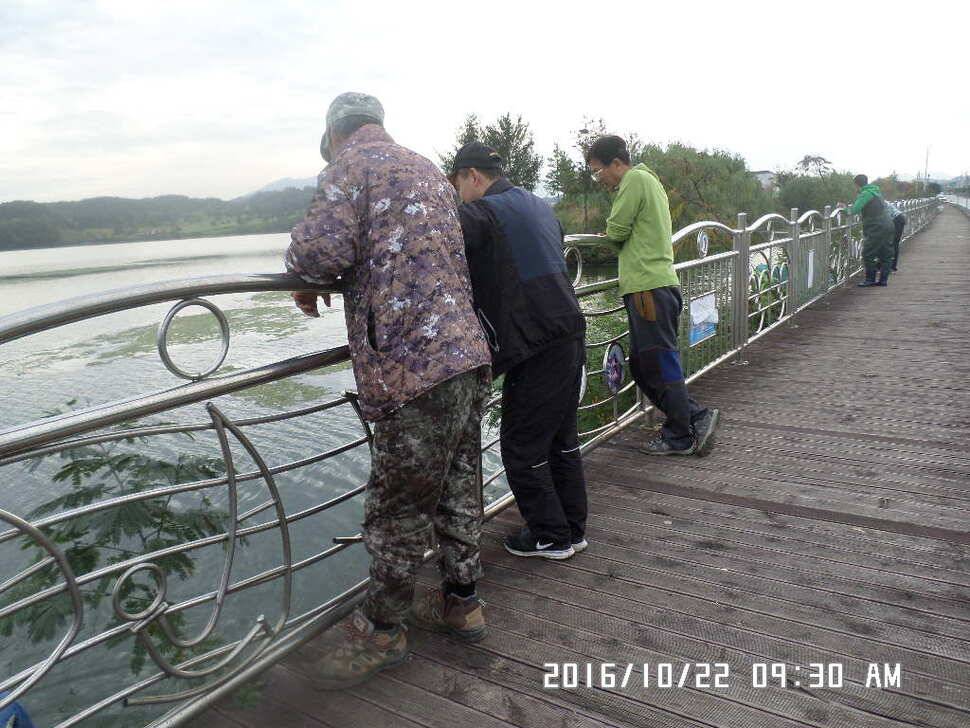 충주 탄금호 낚시조황 (조황조행기 - 낚시점조황)