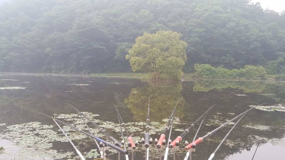 음성권 (조황조행기 - 낚시점조황)