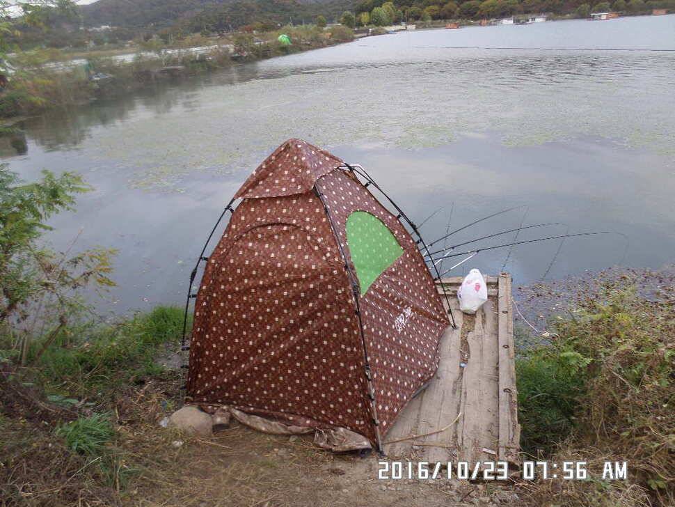 충주 탄금호 낚시조황 (조황조행기 - 낚시점조황)
