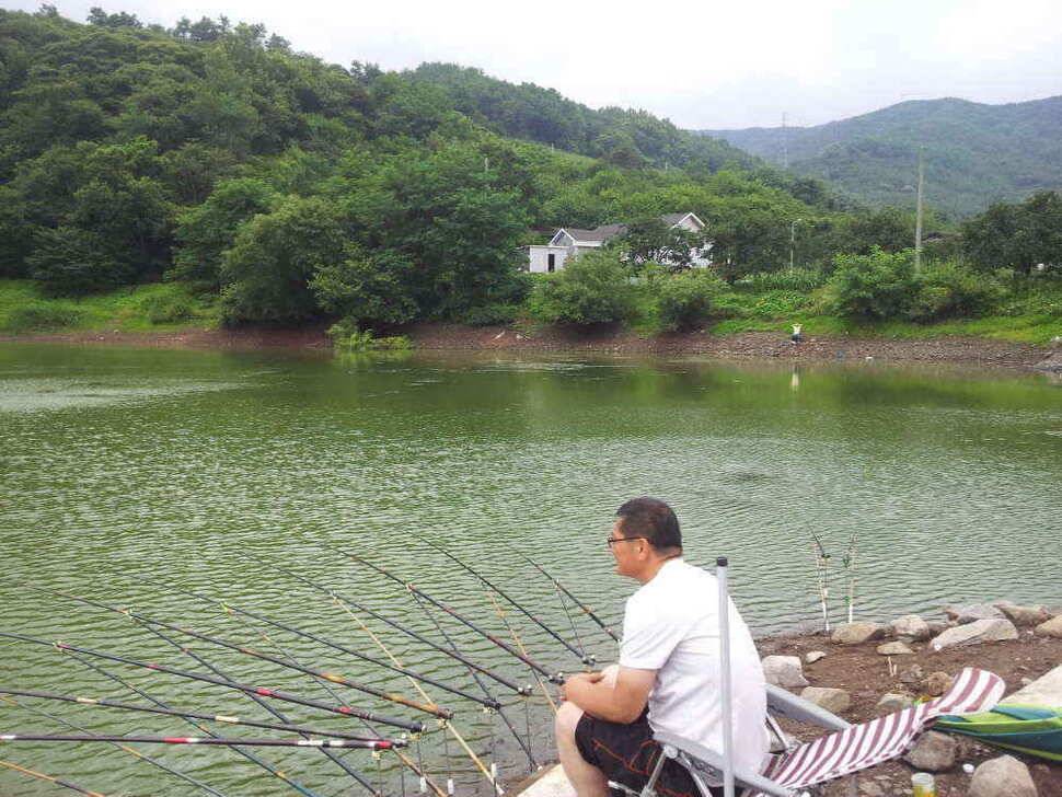 청도권 조황입니다저수지및 배수에대해 문의가 많아 올려봅니다 (조황조행기 - 낚시점조황)