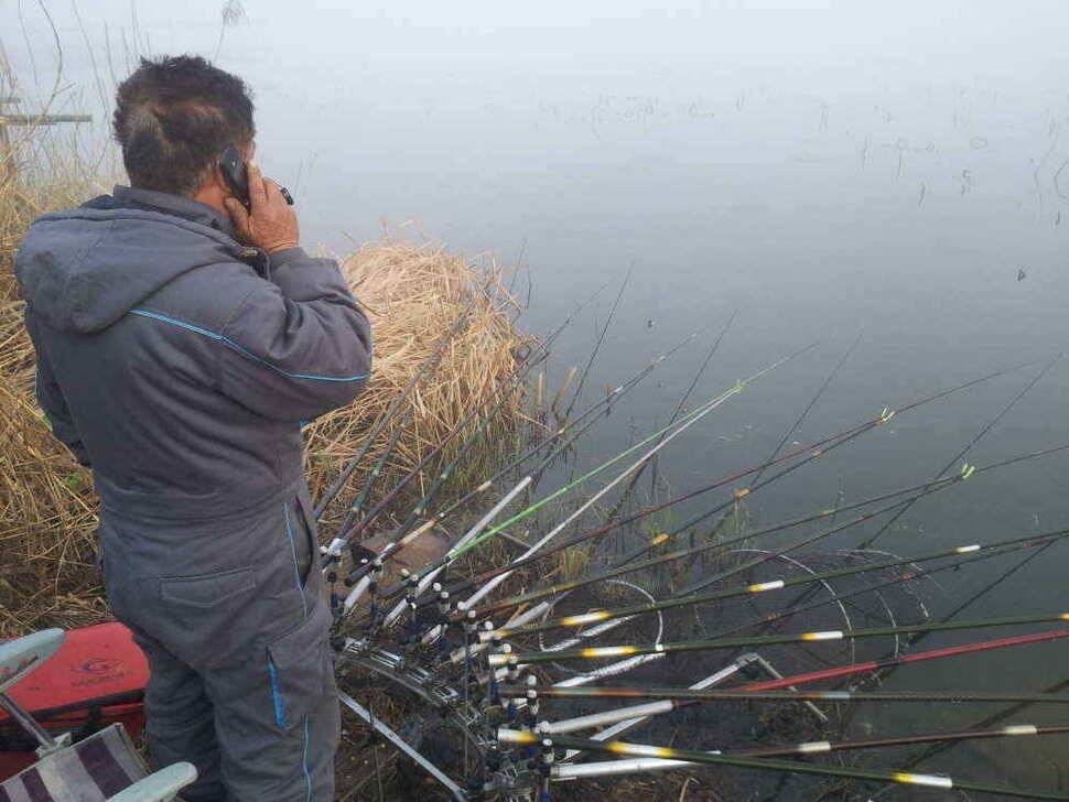 청도 떼고기가 조황입니다2차 산란이 시작되어 씨알이점점 (조황조행기 - 낚시점조황)