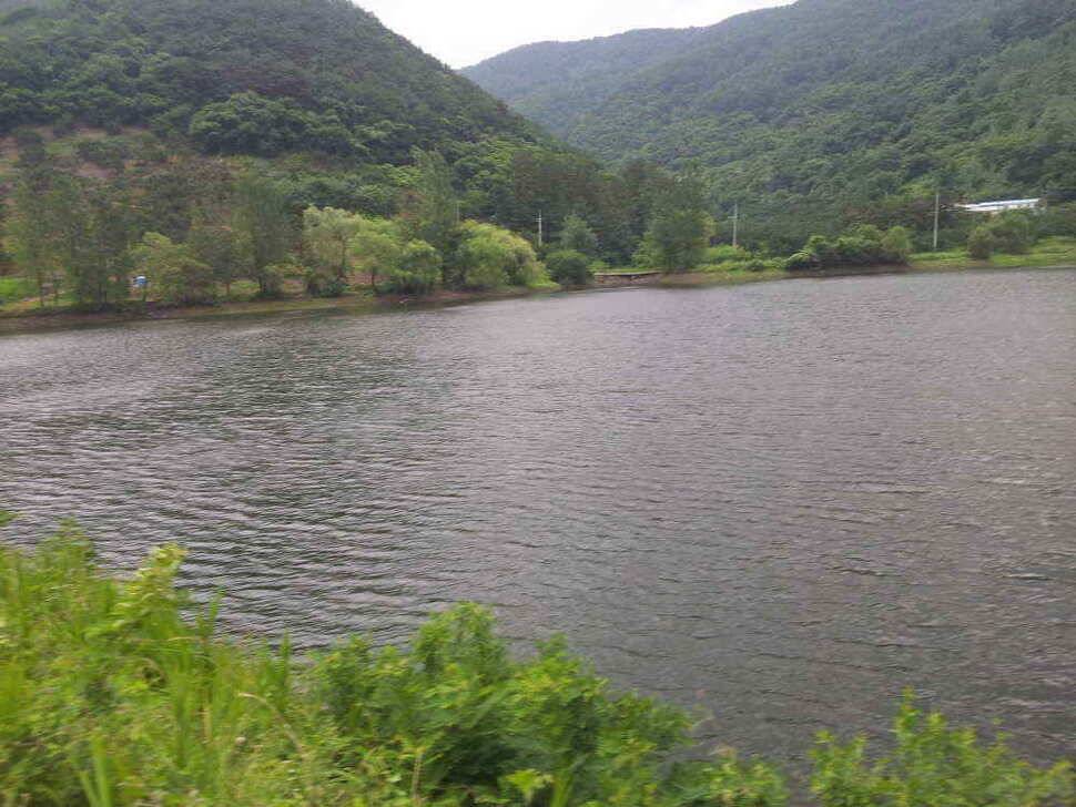 청도권 조황입니다저수지및 배수에대해 문의가 많아 올려봅니다 (조황조행기 - 낚시점조황)