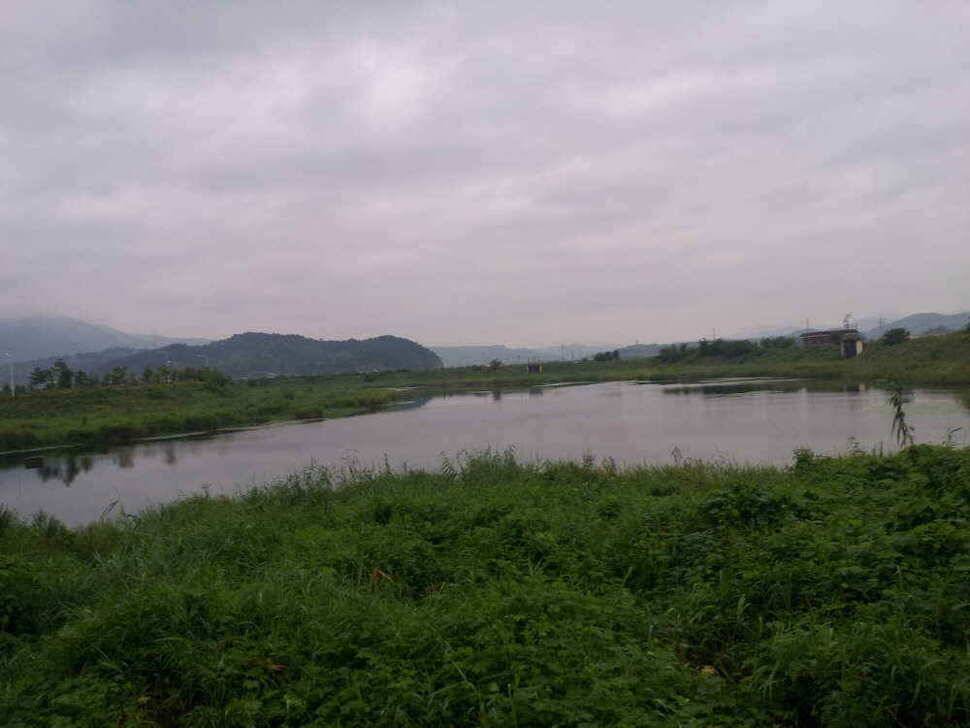 청도권 조황입니다 (조황조행기 - 낚시점조황)
