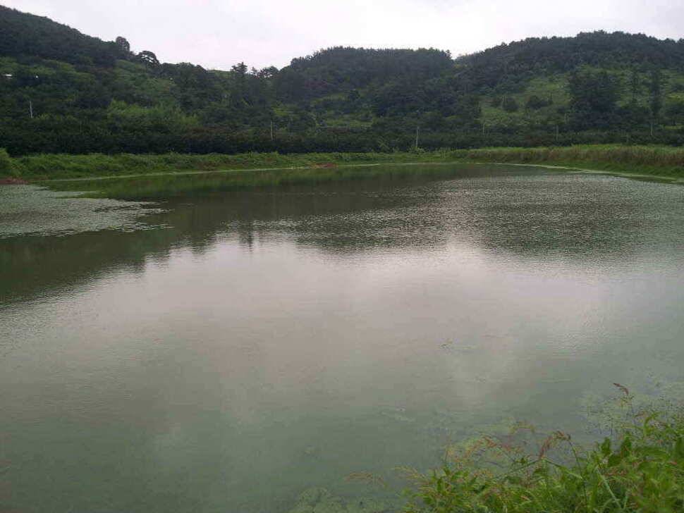 청도권 조황입니다 (조황조행기 - 낚시점조황)