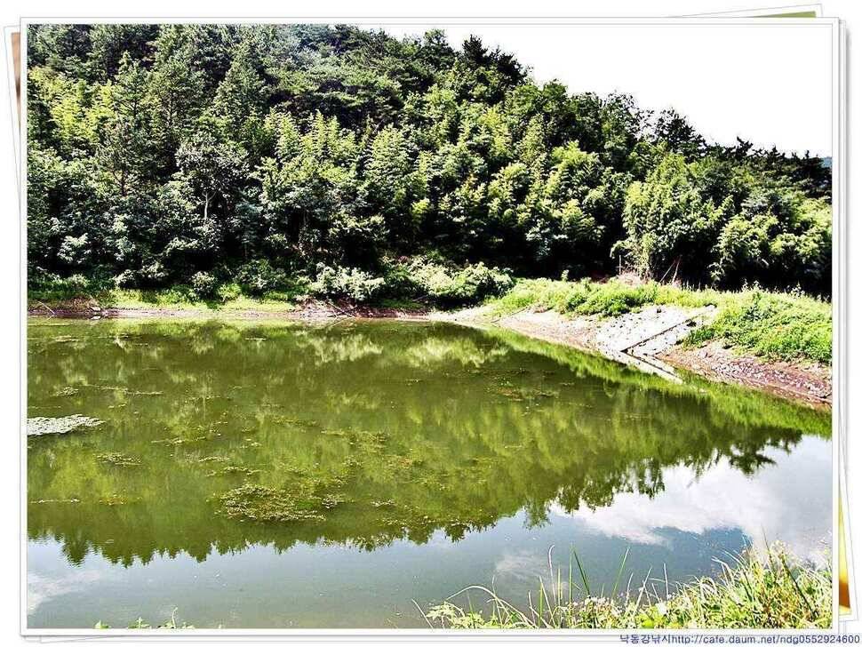 밀양 창녕권 소류지 현재 (조황조행기 - 낚시점조황)