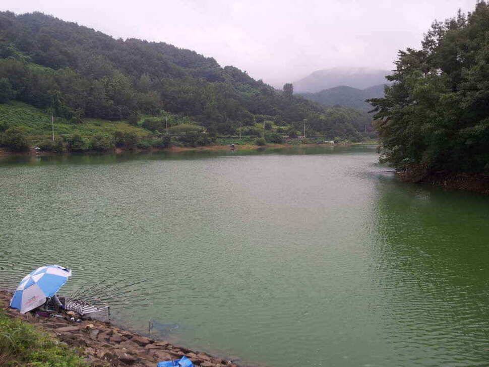 청도권 조황입니다 (조황조행기 - 낚시점조황)