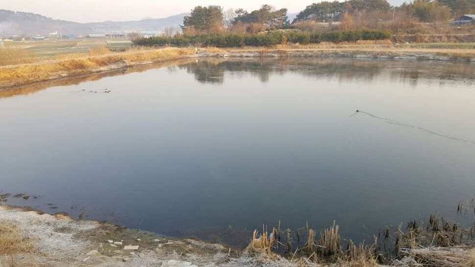 창녕권 살란 특수 (조황조행기 - 낚시점조황)