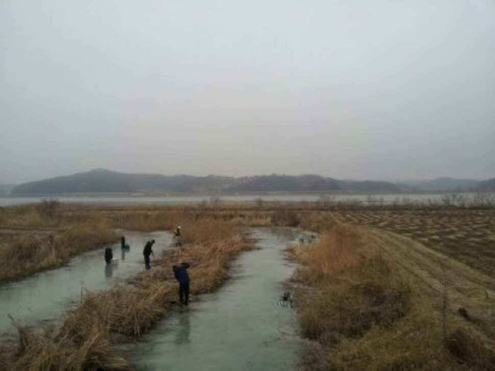 서태안권 얼음낚시 (조황조행기 - 낚시점조황)