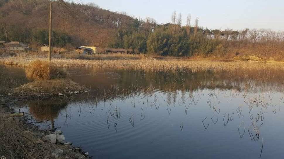창녕권 살란 특수 (조황조행기 - 낚시점조황)