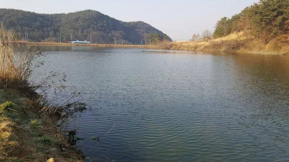창녕권 살란 특수 (조황조행기 - 낚시점조황)