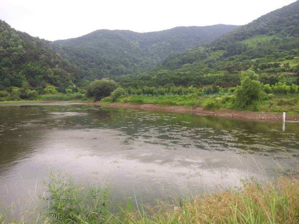 청도권 조황입니다저수지및 배수에대해 문의가 많아 올려봅니다 (조황조행기 - 낚시점조황)