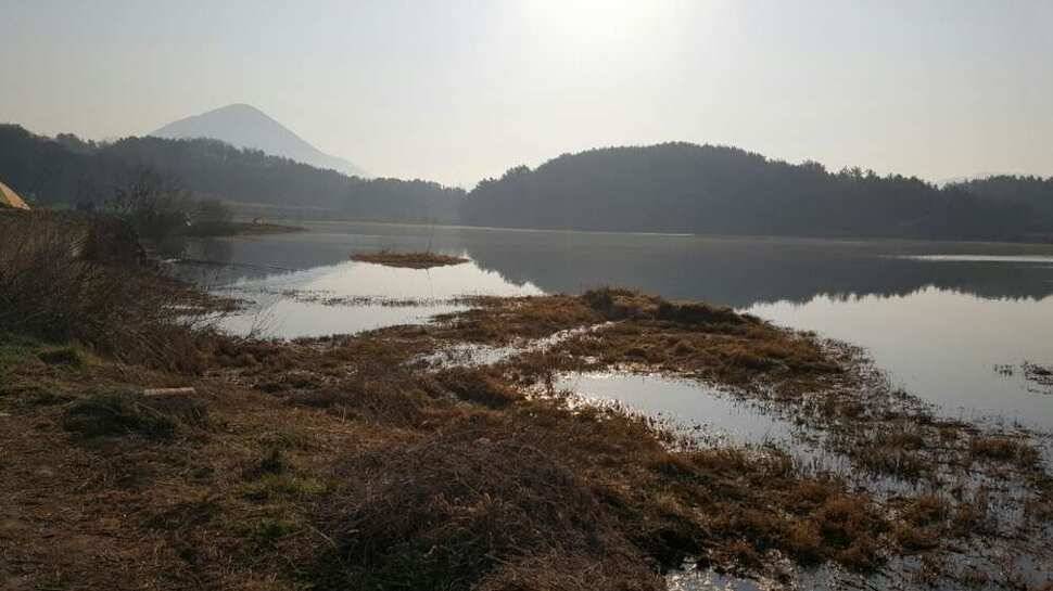창녕권 살란 특수 (조황조행기 - 낚시점조황)