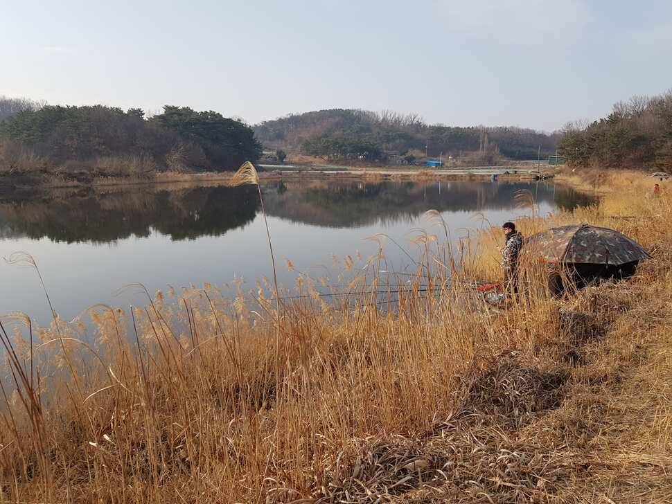 창녕 시즌 시작 (조황조행기 - 낚시점조황)
