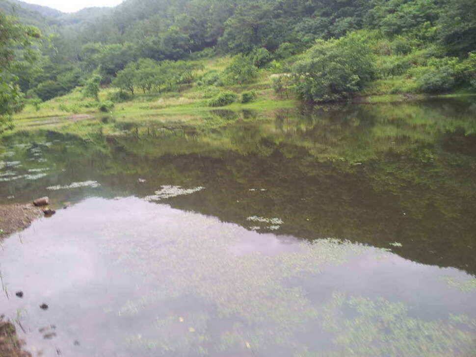 청도권 조황입니다저수지및 배수에대해 문의가 많아 올려봅니다 (조황조행기 - 낚시점조황)