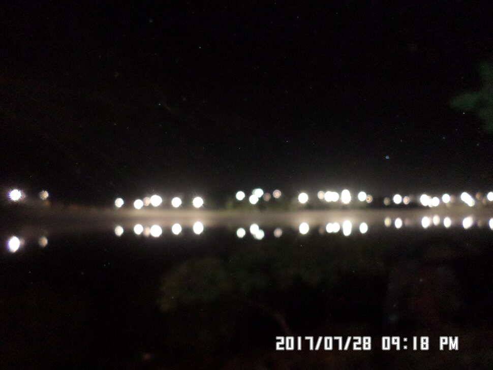 충주 탄금호 낚시조황 (조황조행기 - 낚시점조황)