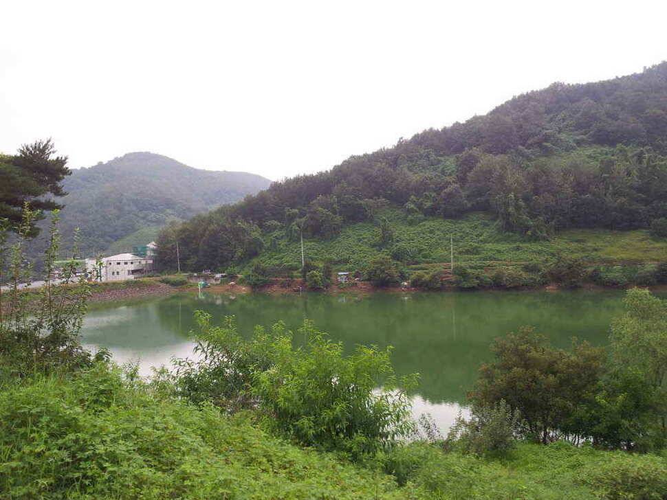 청도권 조황입니다 (조황조행기 - 낚시점조황)