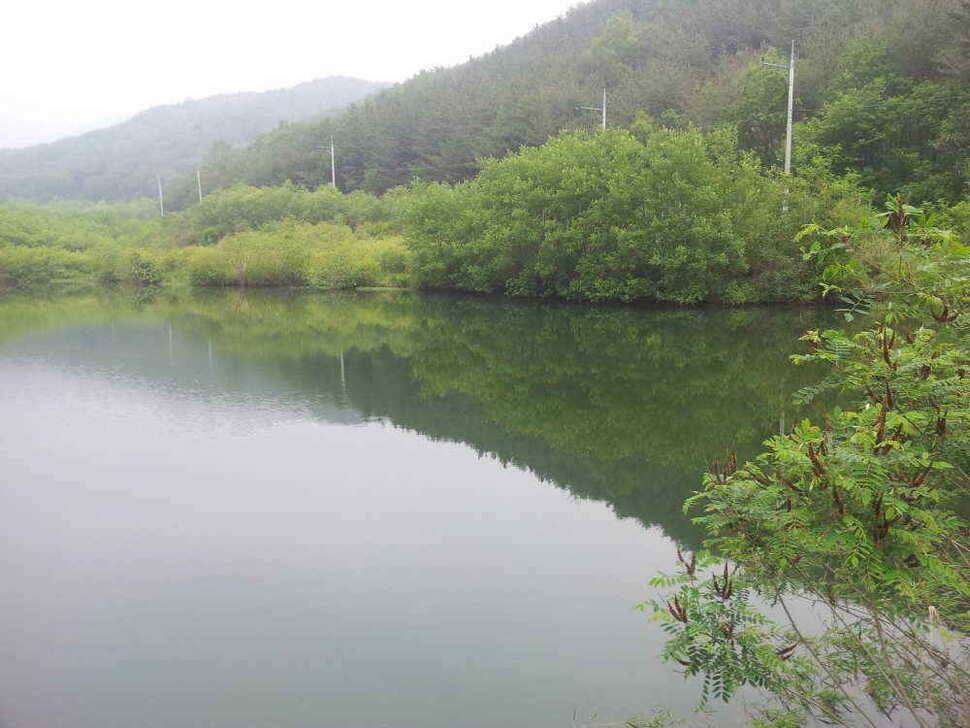 청도권 조황입니다저수지및 배수에대해 문의가 많아 올려봅니다 (조황조행기 - 낚시점조황)