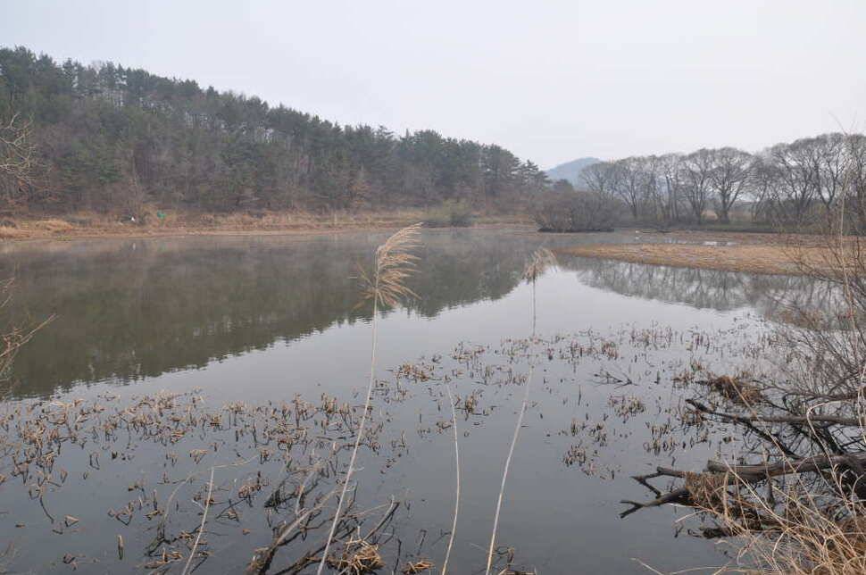 창녕권 살란 특수 (조황조행기 - 낚시점조황)