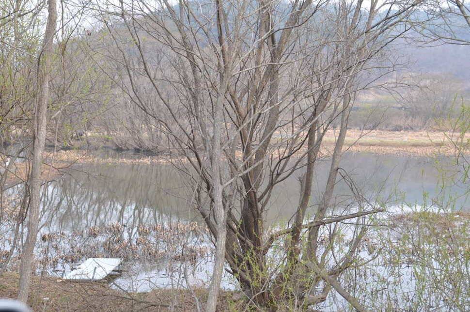 창녕권 살란 특수 (조황조행기 - 낚시점조황)