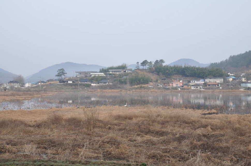 창녕권 살란 특수 (조황조행기 - 낚시점조황)