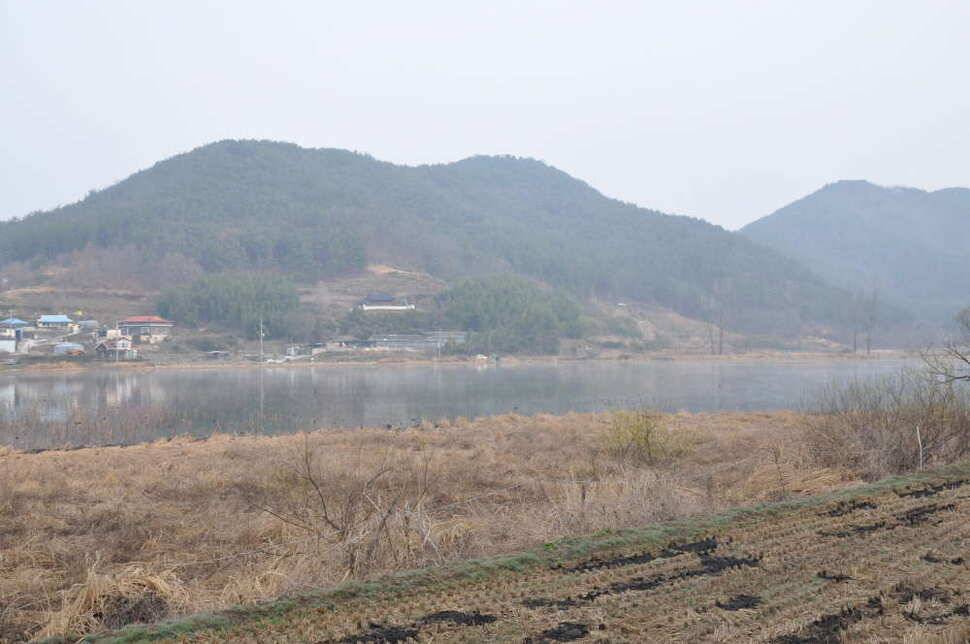 창녕권 살란 특수 (조황조행기 - 낚시점조황)