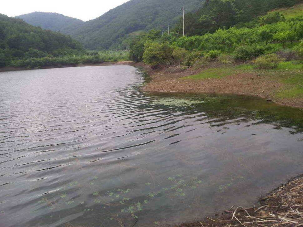 청도권 조황입니다저수지및 배수에대해 문의가 많아 올려봅니다 (조황조행기 - 낚시점조황)