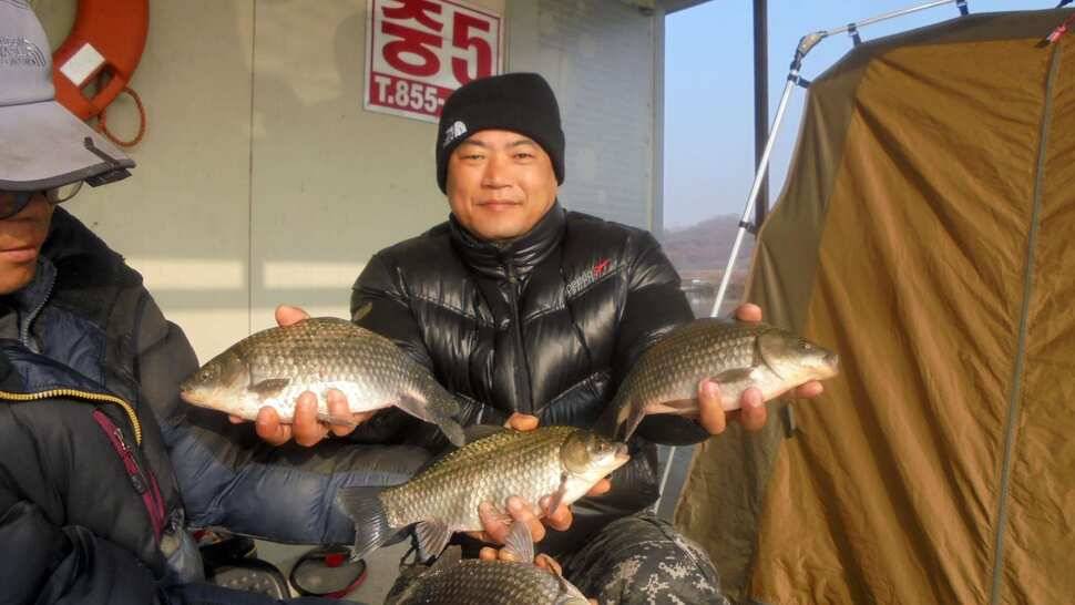 입석및 주변지역 조황정보 (조황조행기 - 낚시점조황)