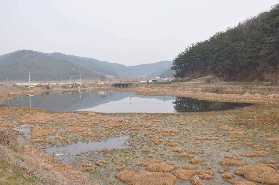 창녕권 살란 특수 (조황조행기 - 낚시점조황)