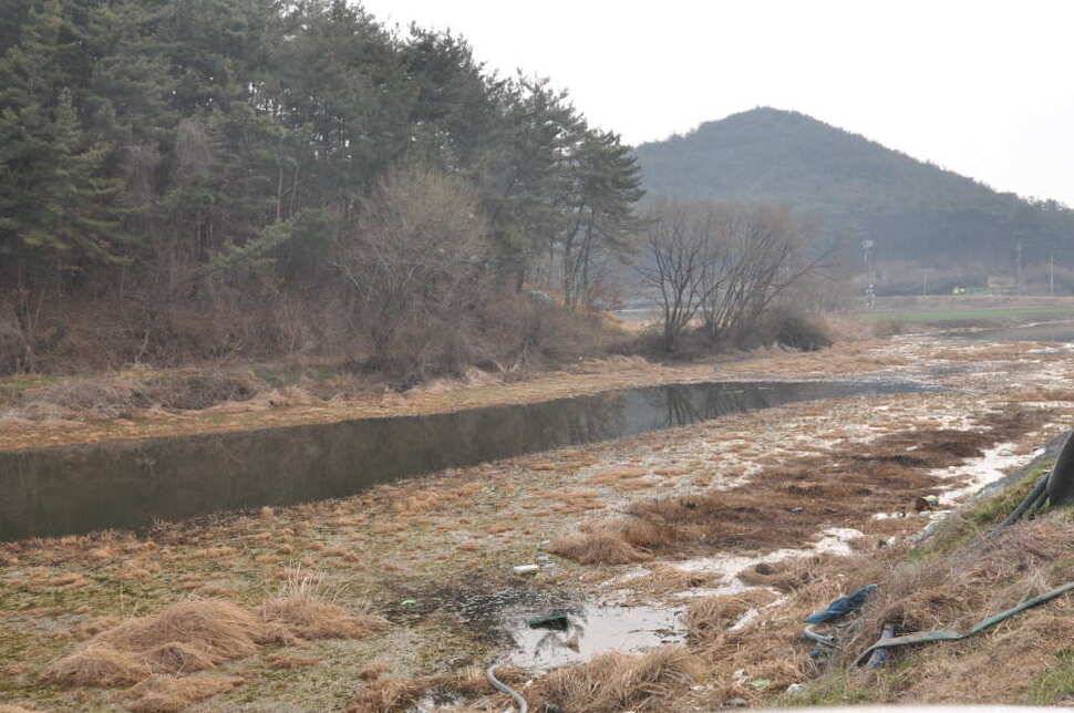 창녕권 살란 특수 (조황조행기 - 낚시점조황)