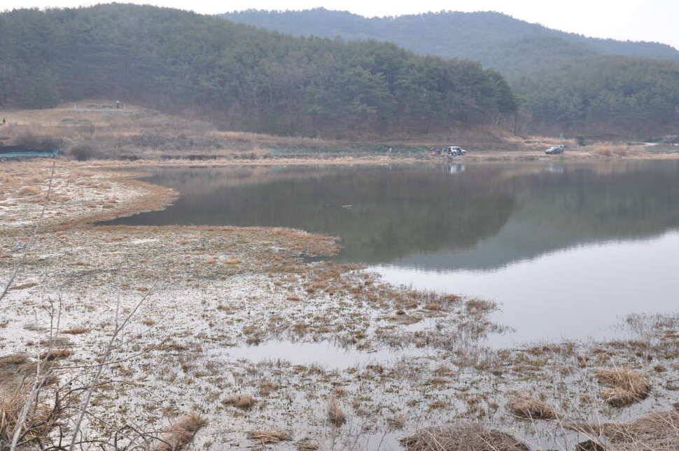 창녕권 살란 특수 (조황조행기 - 낚시점조황)