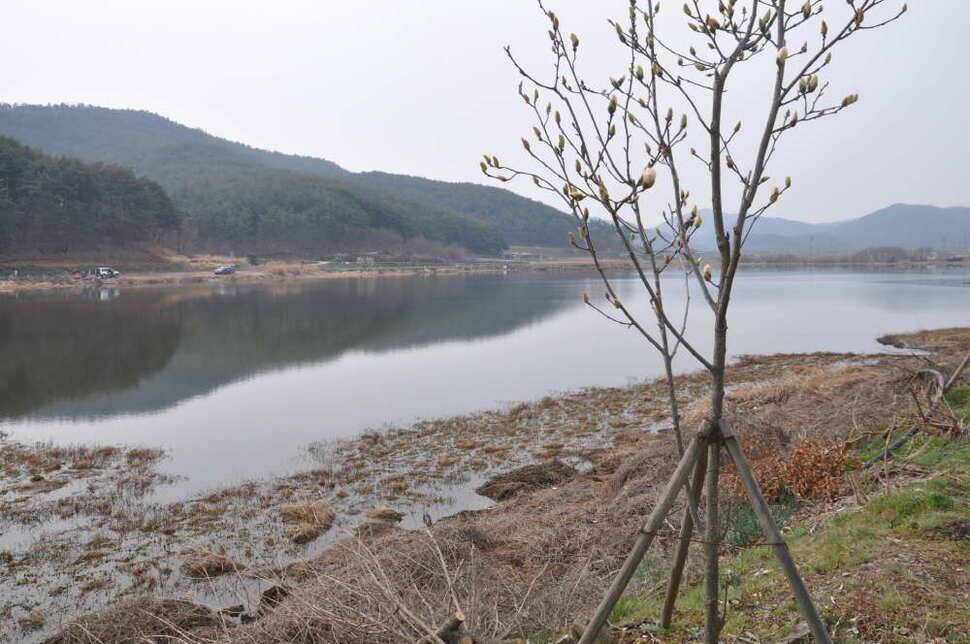 창녕권 살란 특수 (조황조행기 - 낚시점조황)