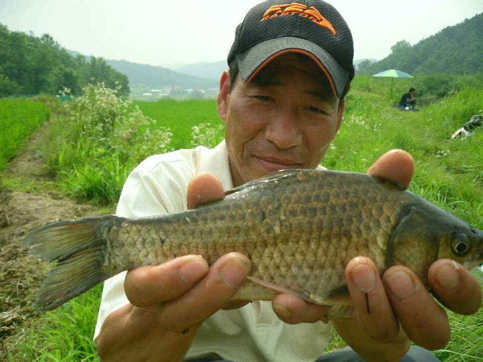 오랜만에 올리는 구미권 조황입니다 (조황조행기 - 낚시점조황)
