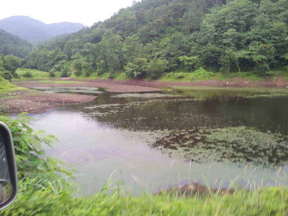 청도권 조황입니다저수지및 배수에대해 문의가 많아 올려봅니다 (조황조행기 - 낚시점조황)
