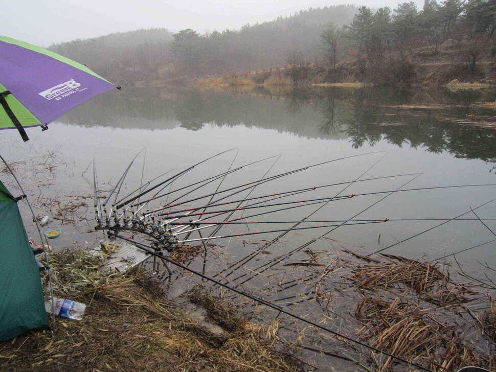 영천ic낚시 4짜 조황입니다 (조황조행기 - 낚시점조황)