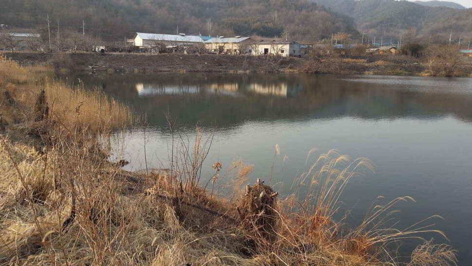 구미권 저수지 상황입니다 (조황조행기 - 낚시점조황)